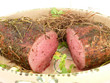 Roastbeefbraten an Heu
