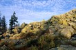 Granitfelsen am Gipfel des Lusen (1373 m)