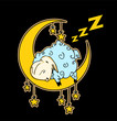 Little sheep sleeping on the moon