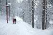 Winter Park