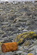 Polluted Beach
