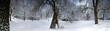 Winterlandschaft
