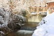 Winter creek