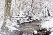 Winter creek