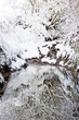 Winter creek