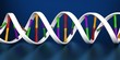 DNA_onGround_2x.jpg