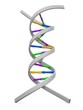 dna_white_stand.jpg