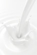 Pouring milk splash with copyspace