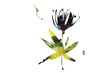 phildotofotolia 24R