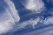 Cloudscape