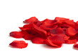 Rosenblätter