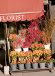 florist