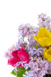Beautiful spring bouquet