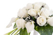 White roses White roses