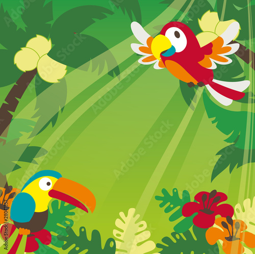 Vector: Tropical rainforest birds, plants and flowers Tropical rainforest birds, plants and flowers