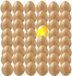golden egg