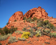 A View of Red Rocks, Blue Sky, and Yellow Flowers Near Sedona