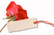 Red rose with blank label