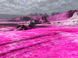 tierras rosas