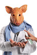 Foto: Swine Flu metaphor Swine Flu metaphor