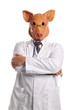 Foto: Swine Flu metaphor Swine Flu metaphor