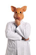 Foto: Swine Flu metaphore Swine Flu metaphore