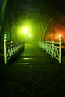 Park in the fog