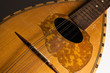Mandoline