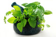 herbal mortar and pestle herbal mortar and pestle