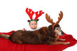 Rentiere - Baby und Hund Rentiere - Baby und Hund