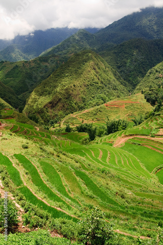 Photo: Rice Terrace Landscape Rice Terrace Landscape