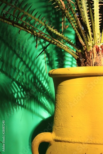 Photo: jardin majorelle, marrakech, maroc, afrique, morocco jardin majorelle, marrakech, maroc, afrique, morocco