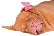 Sleeping beauty
