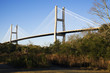 Talmadge Memorial Bridge