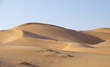 Sanddünen