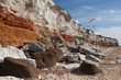 Para-glider and red cliffs at the Hunstanton Beach