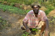 Farmer