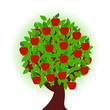 vector illustration of an apple tree on white background