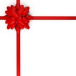 A red bow with ribbons - a 3d image