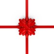 A red bow with ribbons - a 3d image