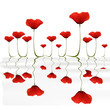 Coquelicots sur l'eau