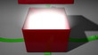 Christmas Gift Opening