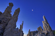 Ancient formations of tufa rocks at Mono Lake in California.