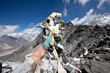 Himalayan Himalayan