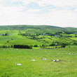 Sperrin Mountains, County Tyrone, Northern Ireland