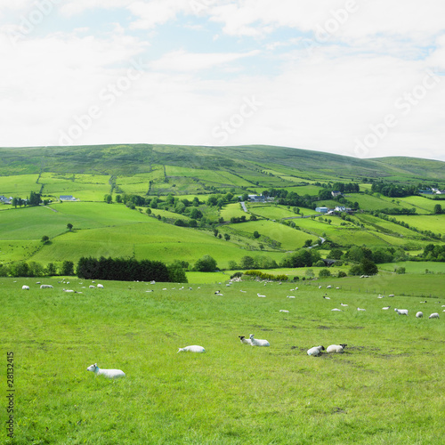 Photo: Sperrin Mountains, County Tyrone, Northern Ireland Sperrin Mountains, County Tyrone, Northern Ireland