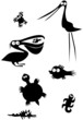 Animal Silhouettes 2