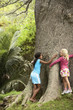 Girls Hugging Large Tree
