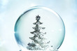 Snow globe with Christmas tree