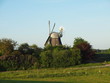 Windmühle Svetlana bei Ascheberg